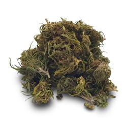 Hempower Ανθός Κάνναβης Cherrry Wine CBD < 53% 8G Hempower Ανθός Κάνναβης Cherrry Wine CBD < 53% 8G