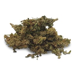 Hempower Ανθός Κάνναβης Magic Pair CBD < 68% 4G Hempower Ανθός Κάνναβης Magic Pair CBD < 68% 4G