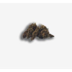 Hempower Ανθός Κάνναβης Moonchild CBD 100% 3G Hempower Ανθός Κάνναβης Moonchild CBD 100% 3G