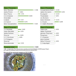 'Ασποροι ανθοί (CBD) Sativa Power 3g 'Ασποροι ανθοί (CBD) Sativa Power 3g