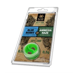 Plant of Life CBD SOLID BLUEBERRY VS AMNESIA 22% CBD 0.5G + 0.5G