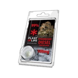 Plant of Life 99% CBD Crystal STRAWBERRY DIESEL 0.1G