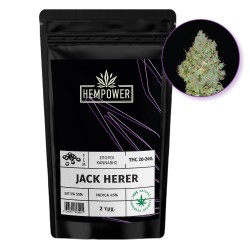 Hempower Seeds fem. Jack Herer 2pcs