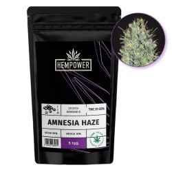 Hempower Seeds fem. Amnesia Haze 5pcs