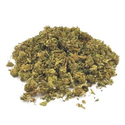 Hempower Τρίμμα Ανθού Κάνναβης S. LEMON HAZE 36% CBD 5G Hempower Τρίμμα Ανθού Κάνναβης S. LEMON HAZE 36% CBD 5G